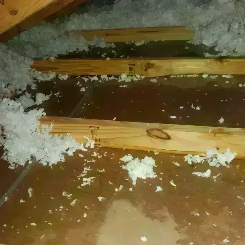 Attic Water Damage in Sullivan County, IN