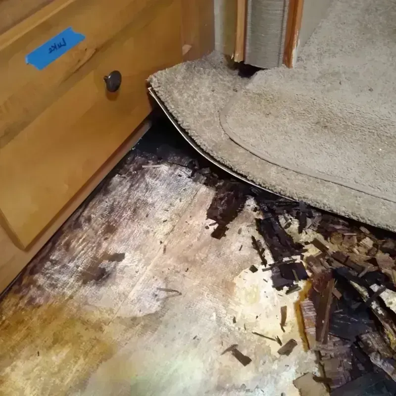 Best Wood Floor Water Damage Service in Sullivan County, IN